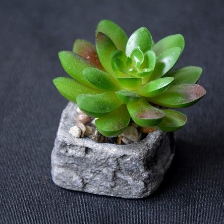 Planta de Cactus artificial inspiradora con maceta de piedra natural en Set Estilo Zen. - Hogar y más