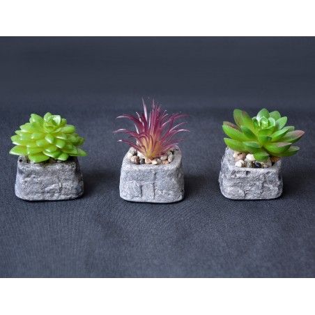 Planta de Cactus artificial inspiradora con maceta de piedra natural en Set Estilo Zen. - Hogar y más