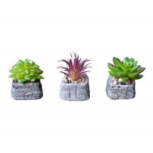 Cactus artificiel inspirante avec un pot de pierre naturelle sur l'Ensemble de la Zen Style. - La maison et plus