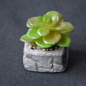 Planta de Cactus artificial inspiradora con maceta de piedra natural en Set Estilo Zen. - Hogar y más