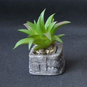Cactus plant artificial inspiring with pot of natural stone on Set of the Zen Style. - Home and more