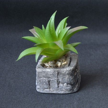 Planta de Cactus artificial inspiradora con maceta de piedra natural en Set Estilo Zen. - Hogar y más