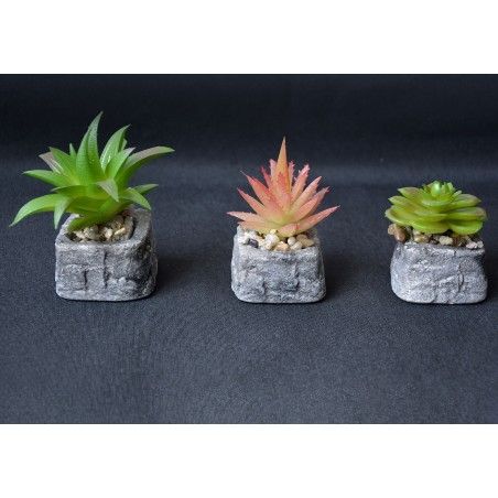 Cactus plant artificial inspiring with pot of natural stone on Set of the Zen Style. - Home and more
