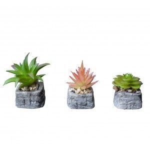 Cactus artificiel inspirante avec un pot de pierre naturelle sur l'Ensemble de la Zen Style. - La maison et plus