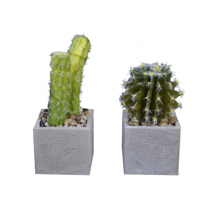Cactus plant artificial realistic with pot of natural stone Set of 2 Natural Style. - Home and more