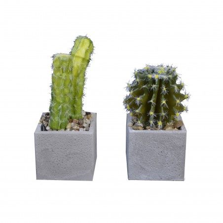 Planta de Cactus artificial hiperrealista con maceta de piedra natural en Set de 2 Estilo Natural. - Hogar y más