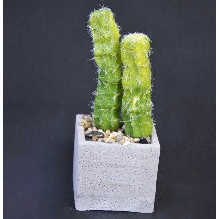Cactus artificiel réaliste avec un pot de pierre naturelle, Ensemble de 2 Style Naturel. - La maison et plus