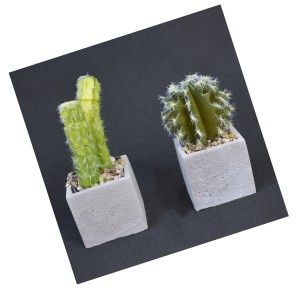 Cactus plant artificial realistic with pot of natural stone Set of 2 Natural Style. - Home and more