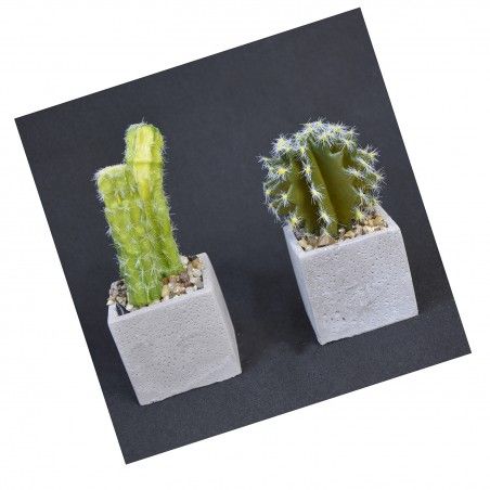 Planta de Cactus artificial hiperrealista con maceta de piedra natural en Set de 2 Estilo Natural. - Hogar y más