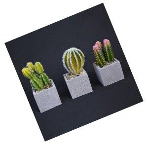 Cactus artificiel réaliste avec un pot de pierre naturelle, Ensemble de 2 Style Naturel. - La maison et plus