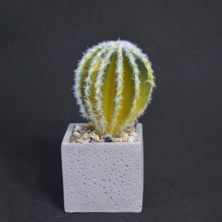 Cactus plant artificial realistic with pot of natural stone Set of 2 Natural Style. - Home and more