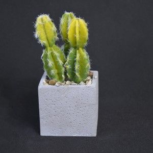Cactus plant artificial realistic with pot of natural stone Set of 2 Natural Style. - Home and more
