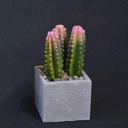 Cactus plant artificial realistic with pot of natural stone Set of 2 Natural Style. - Home and more