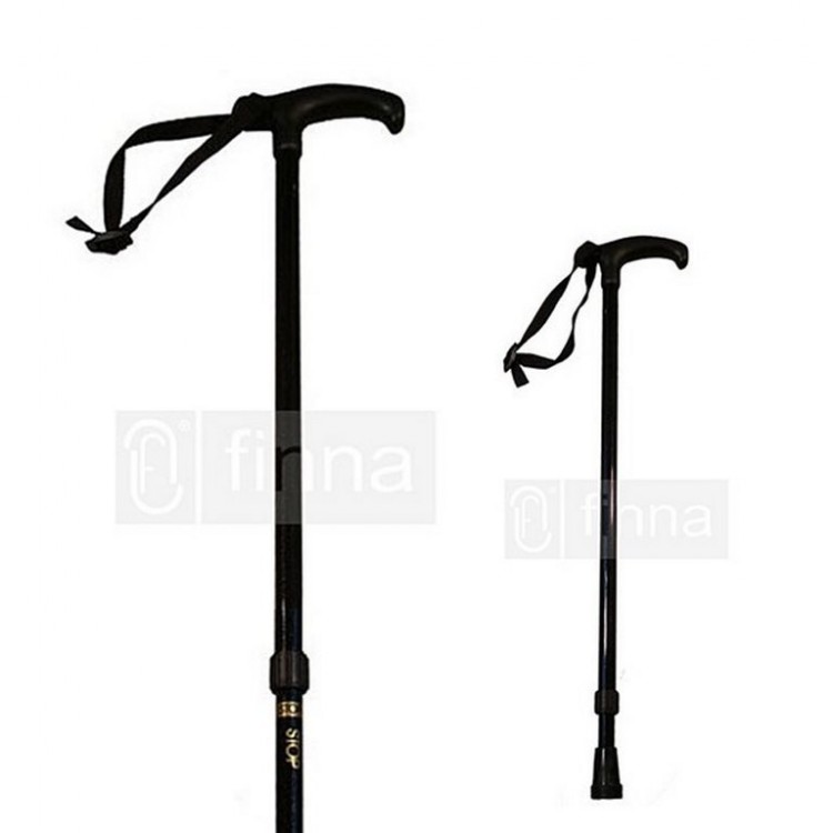 Extendable pole with strap