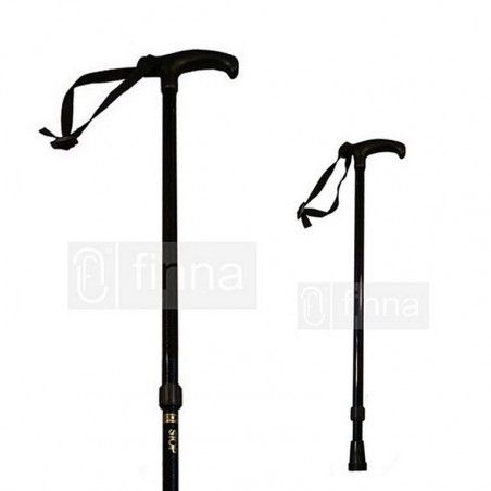 Extendable pole with strap