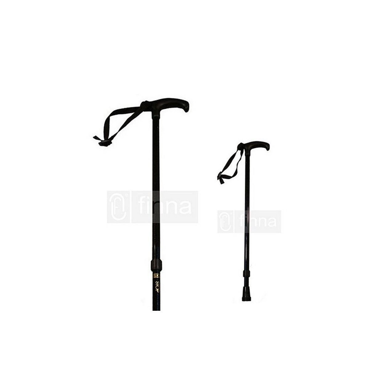 Extendable pole with strap