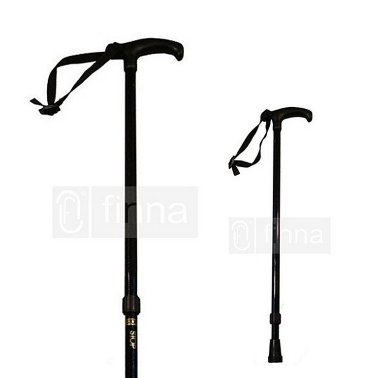 Extendable pole with strap