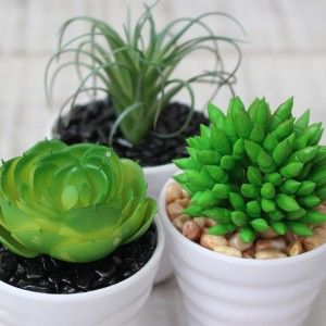 Cactus artificial for decoration with white pot - Pack of 3 - Modern Design - Home and more
