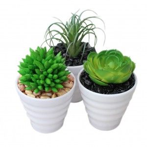 Cactus artificiel pour la décoration avec du blanc pot - Pack de 3 - Design Moderne - Maison et plus
