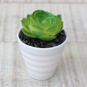 Cactus artificial for decoration with white pot - Pack of 3 - Modern Design - Home and more