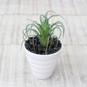 Cactus artificial for decoration with white pot - Pack of 3 - Modern Design - Home and more