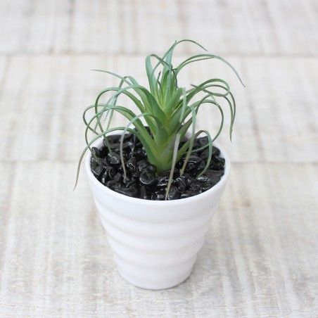 Cactus artificial para decoración con maceta blanca  - Pack de 3 - Diseño Moderno - Hogar y más