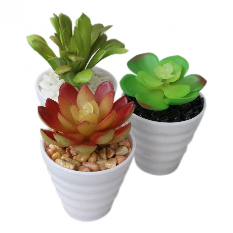 Cactus artificial for decoration with white pot - Pack of 3 - Modern Design - Home and more
