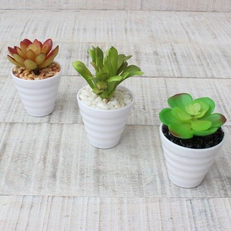 Cactus artificial for decoration with white pot - Pack of 3 - Modern Design - Home and more