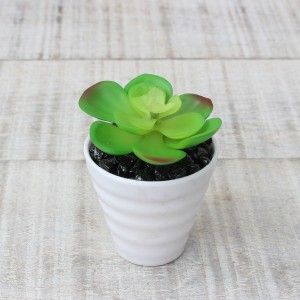Cactus artificial for decoration with white pot - Pack of 3 - Modern Design - Home and more
