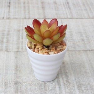 Cactus artificial for decoration with white pot - Pack of 3 - Modern Design - Home and more
