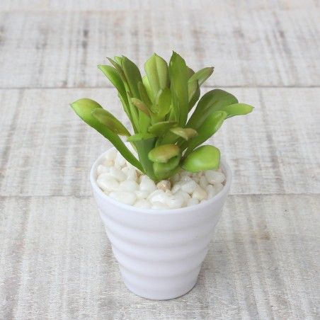 Cactus artificial for decoration with white pot - Pack of 3 - Modern Design - Home and more