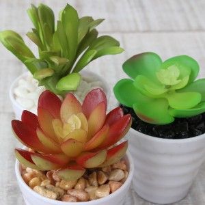 Cactus artificial para decoración con maceta blanca  - Pack de 3 - Diseño Moderno - Hogar y más