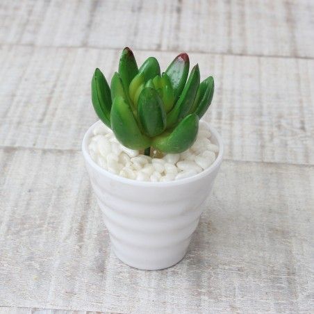 Cactus artificial for decoration with white pot - Pack of 3 - Modern Design - Home and more