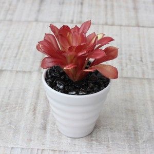 Cactus artificial for decoration with white pot - Pack of 3 - Modern Design - Home and more