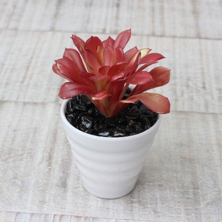 Cactus artificial for decoration with white pot - Pack of 3 - Modern Design - Home and more