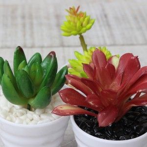 Cactus artificial para decoración con maceta blanca  - Pack de 3 - Diseño Moderno - Hogar y más