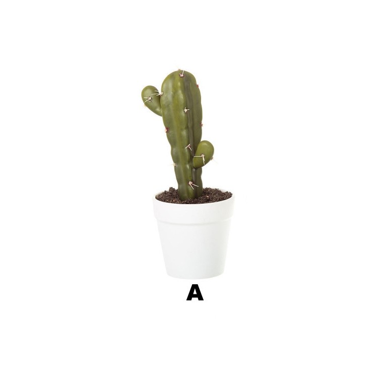Impianto artificiale Modello Cactus con Vaso per la Decorazione, Quattro Modelli di Casa e di Più 