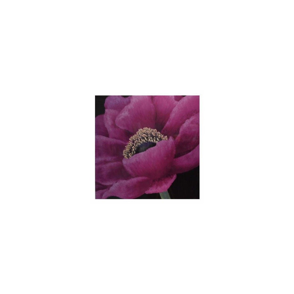 Box wood flower lilac