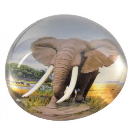 Paperweight Glass, with the shape of a Dome. Design of Wild Animals, with style Jungle/Safari (8cm X 4cm) - Home and More