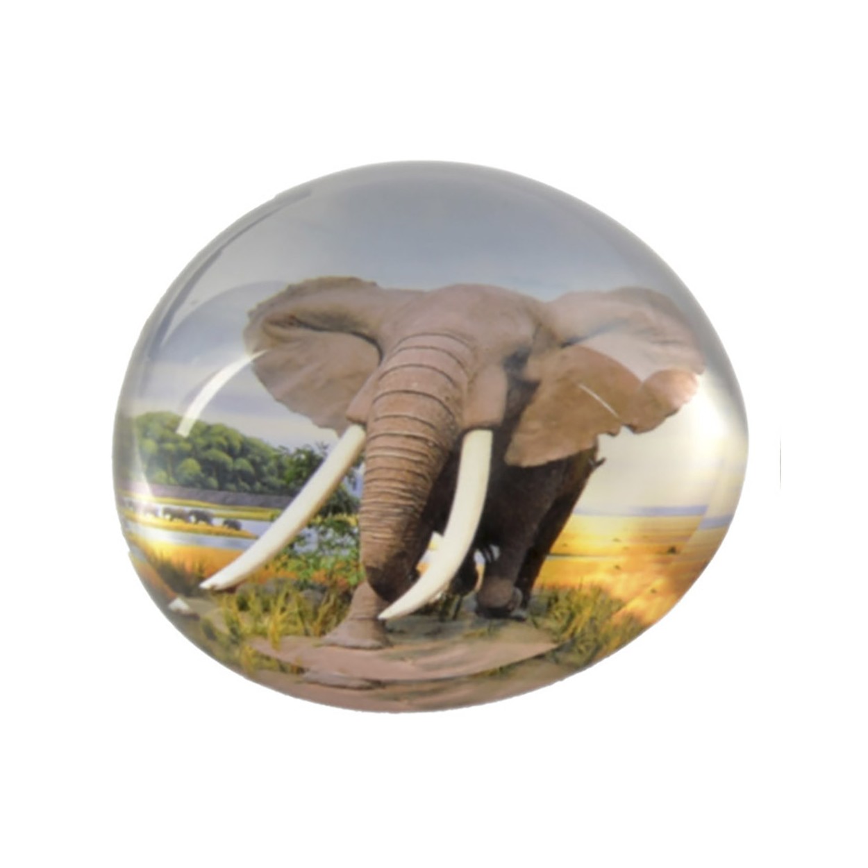 Pisapapeles de Cristal, con forma de Cúpula. Diseño de Animales Salvajes, con estilo Selva/Safari (8cm X 4cm) - Hogar y Más