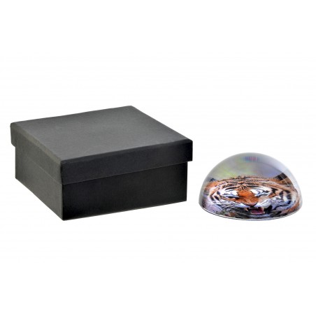 Paperweight Glass, with the shape of a Dome. Design of Wild Animals, with style Jungle/Safari (8cm X 4cm) - Home and More