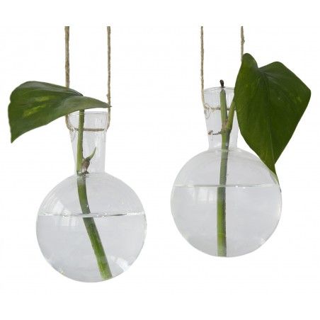 Macetero Decorativo Colgante, de Cristal, para Pared de Interior/Exterior. Diseño Original, estilo Moderno. Set de 2-Hogar y Más