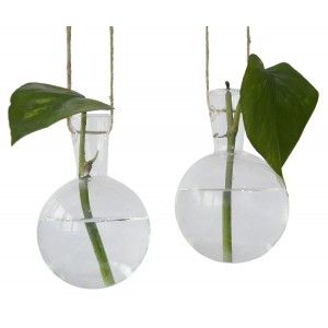 Planter hanging clear glass set of two units - Design, elegant and original. Home and more.