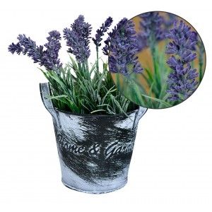 Artificiali Vasi per piante in metallo Vintage Casa e Giardino - Casa e altro ancora