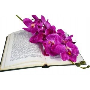 Orquidia Artificielle série de 3, de Fleurs Artificielles Intérieur. Bouquet de Orquidias la Décoration de Printemps 100 cm