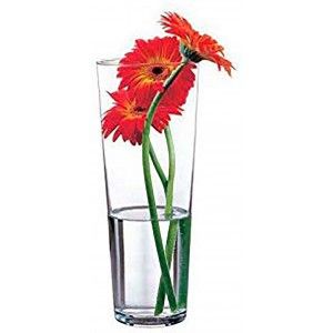 Jarrón Cristal Transparente 26 cm. Floreros Decorativos Moderno, Flores Decoración 26 x 7 cm