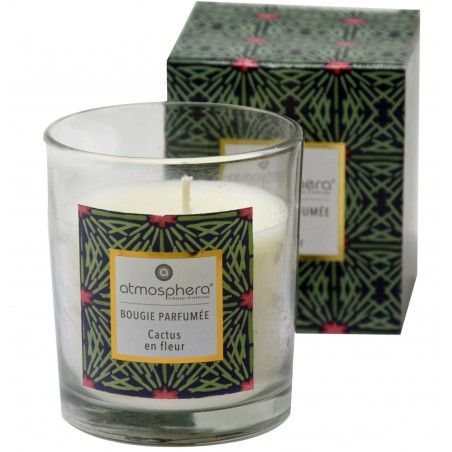 Candela Profumata Cactus con vetro in Cristallo e la Scatola Decorativa, Ideale per fare dei regali. Candele profumate 110 g