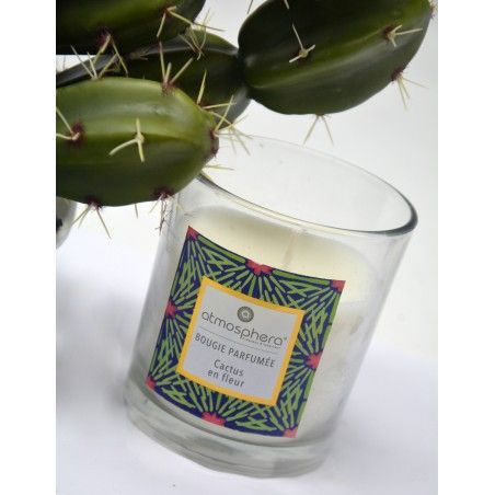 Candela Profumata Cactus con vetro in Cristallo e la Scatola Decorativa, Ideale per fare dei regali. Candele profumate 110 g