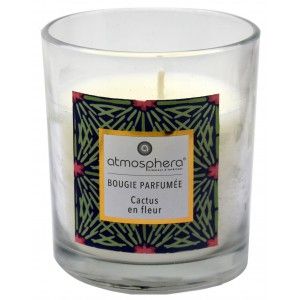 Bougie Parfumée Cactus avec verre de Cristal et la Boîte Décorative, Idéale pour faire un Cadeau. Bougies parfumées 110 g