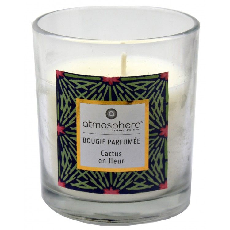 Candela Profumata Cactus con vetro in Cristallo e la Scatola Decorativa, Ideale per fare dei regali. Candele profumate 110 g